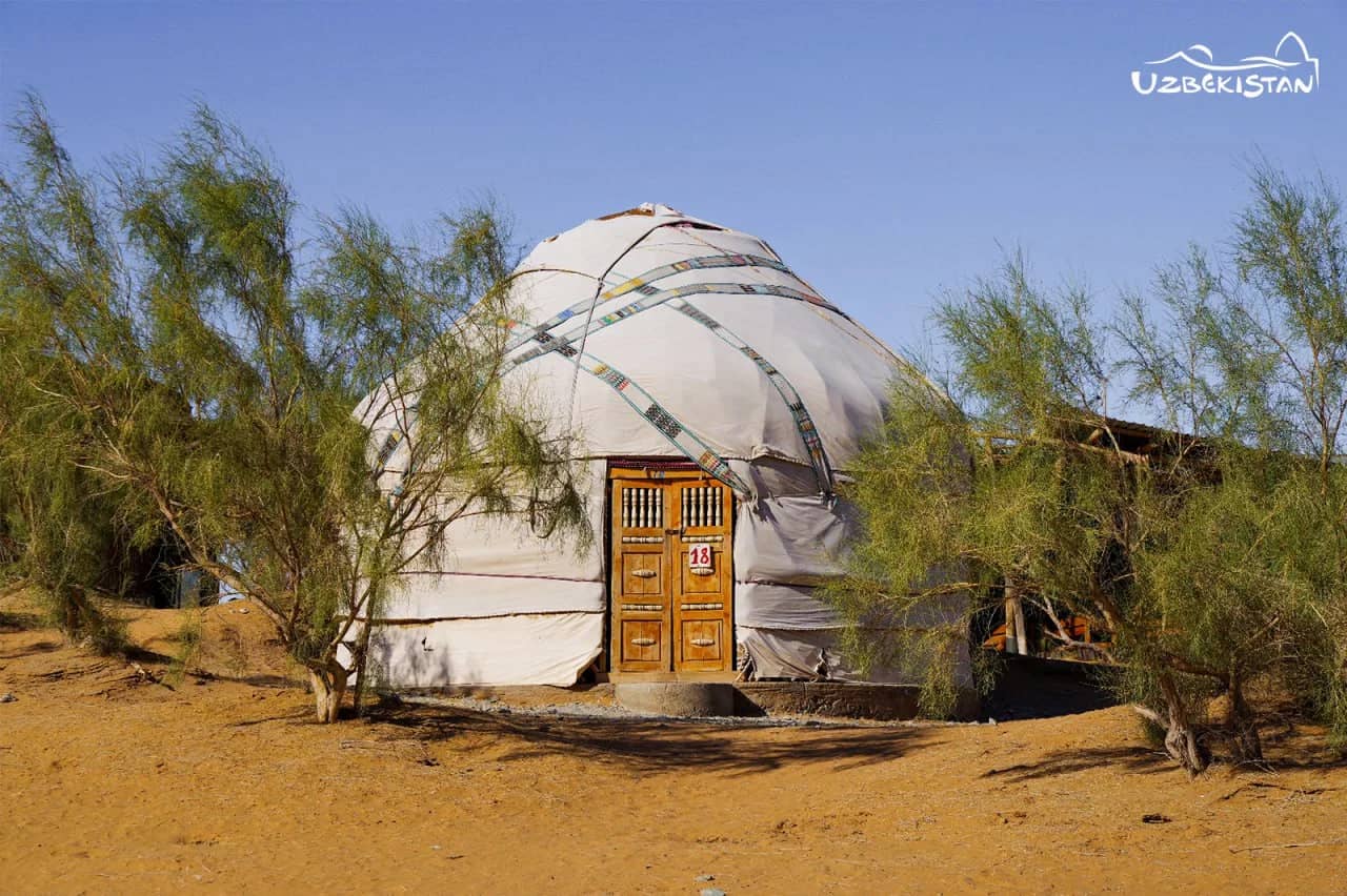 A white felt yurt among saxaul trees on desert sand